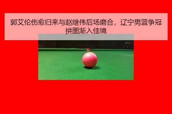 guo-ai-lun-shang-yu-gui-lai-yu-zhao-ji-wei-hou-chang-mo-he-liao-ning-nan-lan-zheng-guan-pin-tu-jian-ru-jia-jing-2-622.jpg