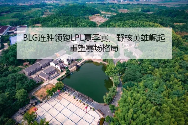 BLG连胜领跑LPL夏季赛，野核英雄崛起重塑赛场格局